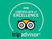 certificado de excelencia tripadvisor 2018 para restaurante en donostia